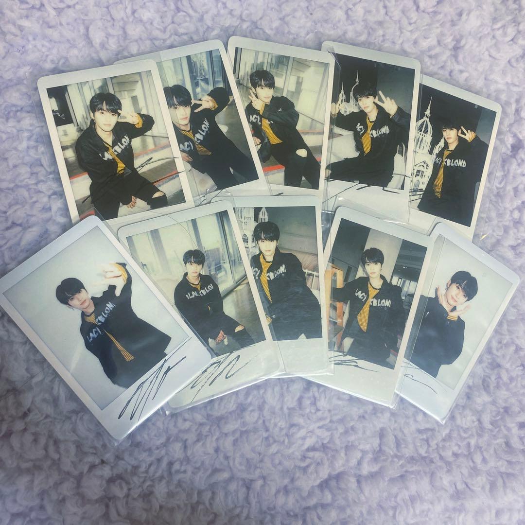 リノ　ポラロイド　コンプ