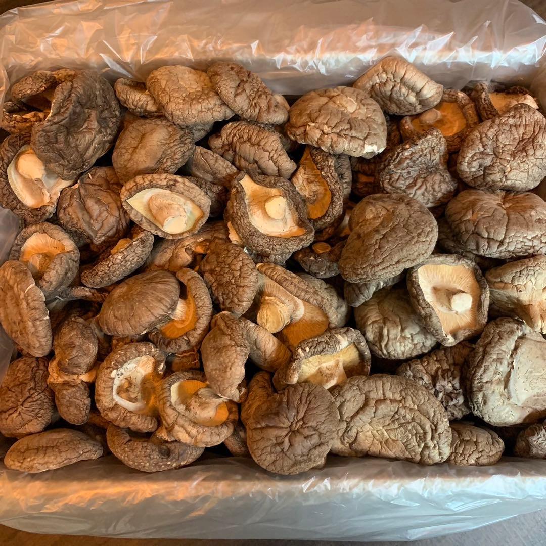 【産地直送】 乾燥椎茸　1kg 業務用　しいたけ　岩手県産　東北の味　ストック