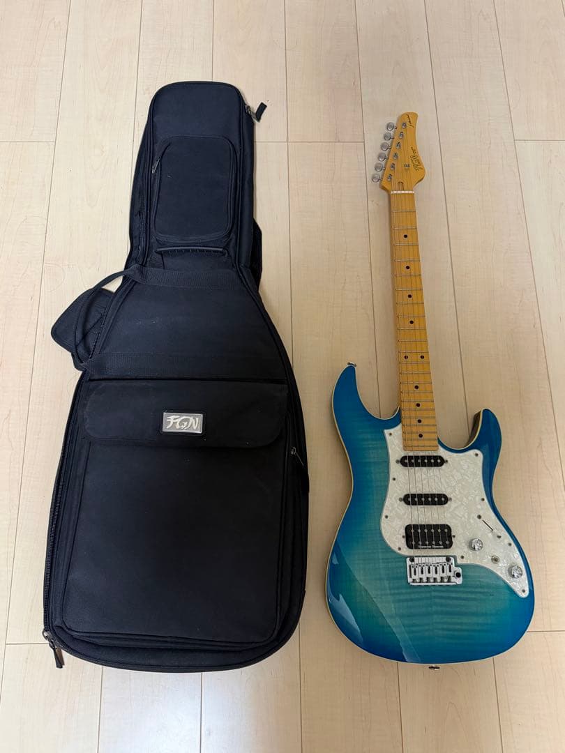FGN フジゲン　弦2セット　ギターソフトケース付