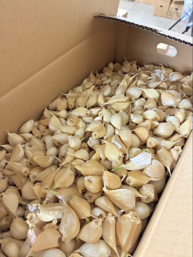 【激安】青森県産にんにく MIXバラ10kg福地ホワイト　お買い得