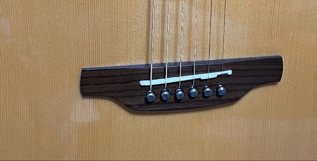 aria アコースティックギター(エレアコ)