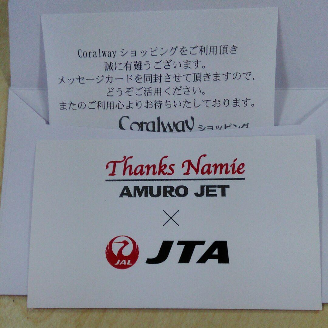 安室ジェット Amuro Jet Aircraft Model