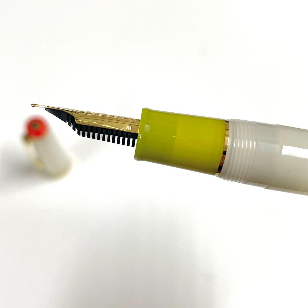 【北アメリカ限定 万年筆】新品プロギア M字 ジンマティーニ 21金