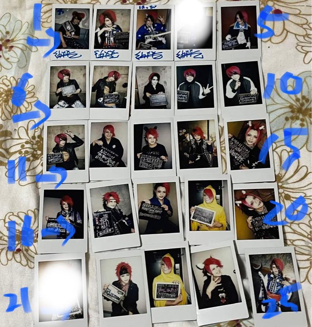 Babykingdom/志記さん、もにょさんチェキまとめ売り