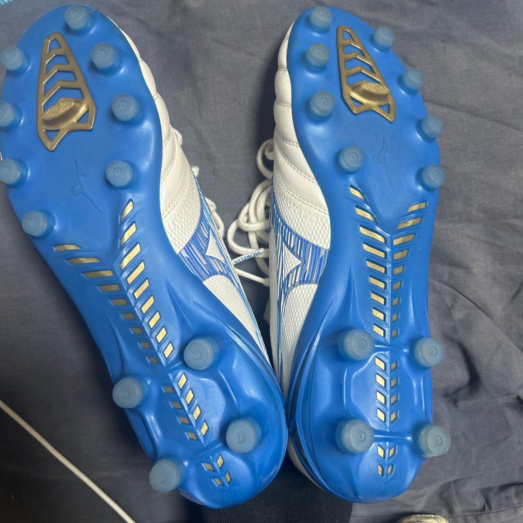 モレリアネオ４β 26㎝　希少