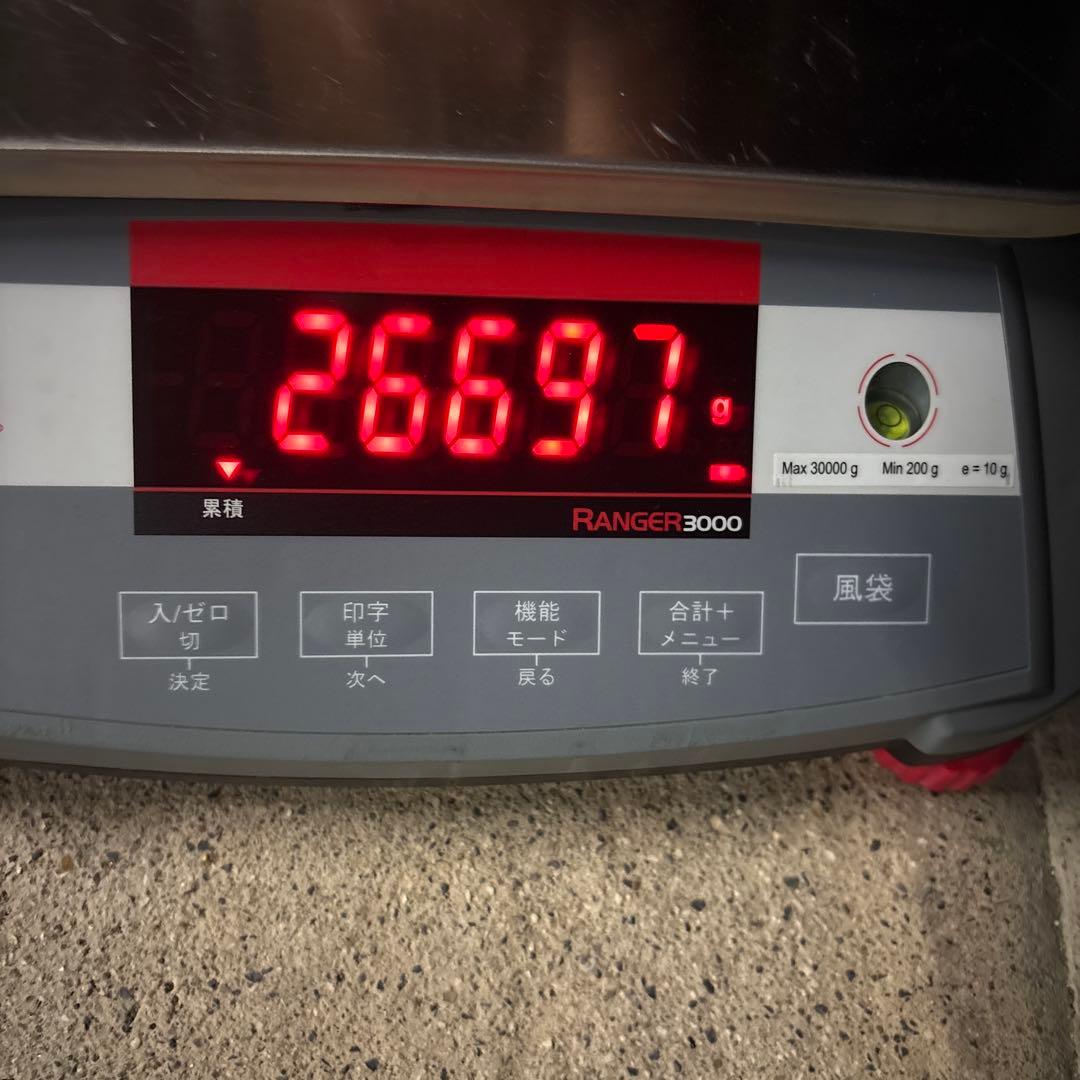 【Ohaus】 Ranger 3000 R31PE30JP 軽量スケール