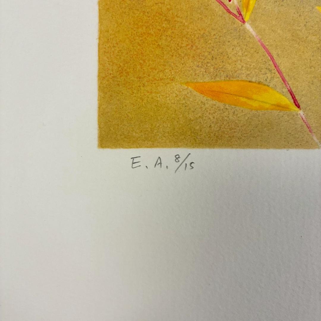 美品 上村松篁「花鳥四季」全4枚揃 リトグラフ 直筆サイン入 額縁付属 完品