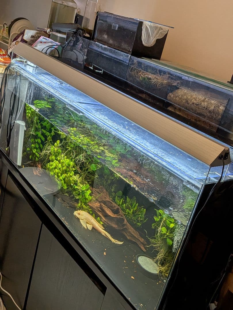 水槽用LEDアクロ TRIANGLE LED VIVID 1200 水草育用