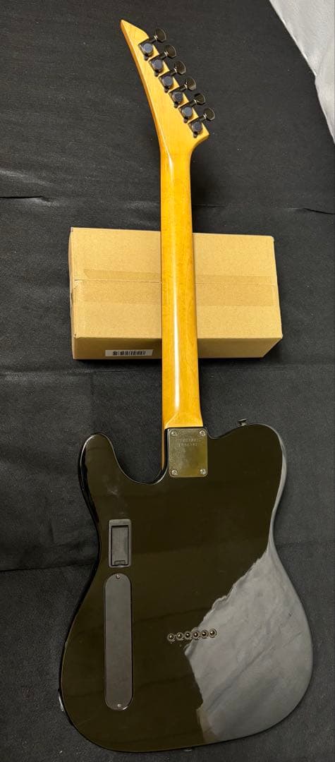 フェルナンデス TEJ LIMITED EDITION 2ハム