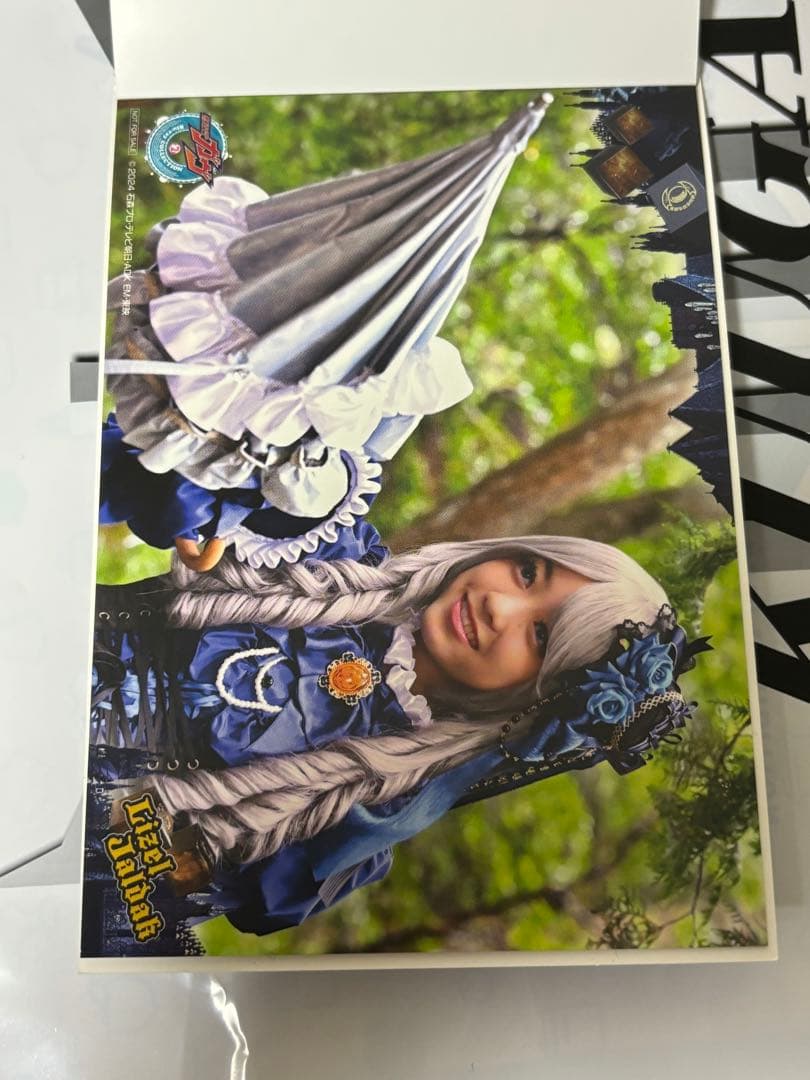 仮面ライダーガヴ Blu-Ray02 限定予約版 ビジュアルカード コンプ