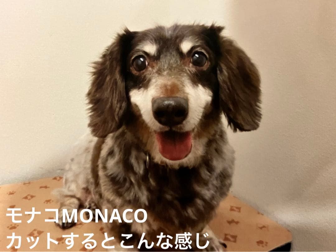 anna 様 ご確認用 です。