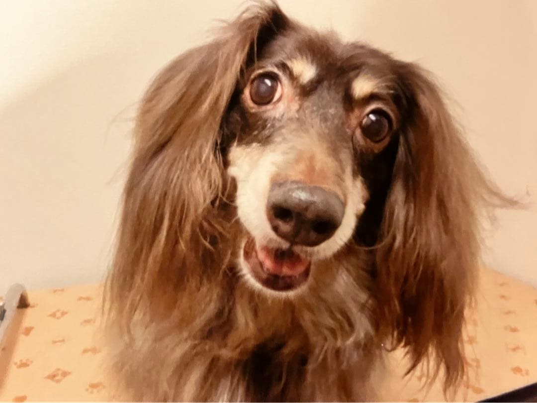 anna 様 ご確認用 です。