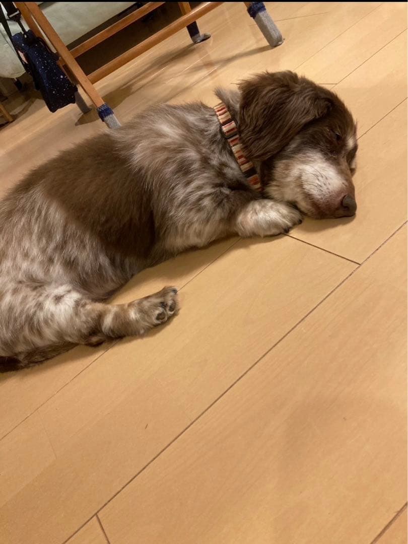 anna 様 ご確認用 です。