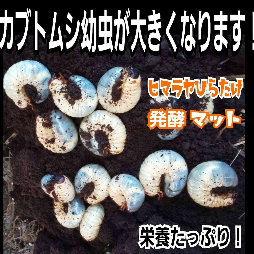 カブトムシ幼虫が大きくなる！発酵マット【90リットル】保存に便利なチャック付き袋