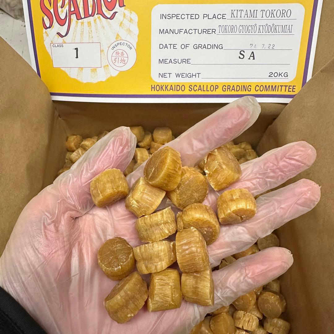 北海道産乾燥帆立貝柱 ホタテ貝柱 SA 1等級 1kg（100g×10袋） 貝柱