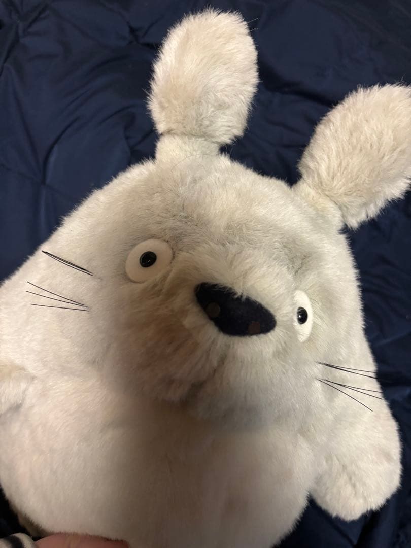 特大サイズ　ジブリ　となりのトトロ　ぬいぐるみ