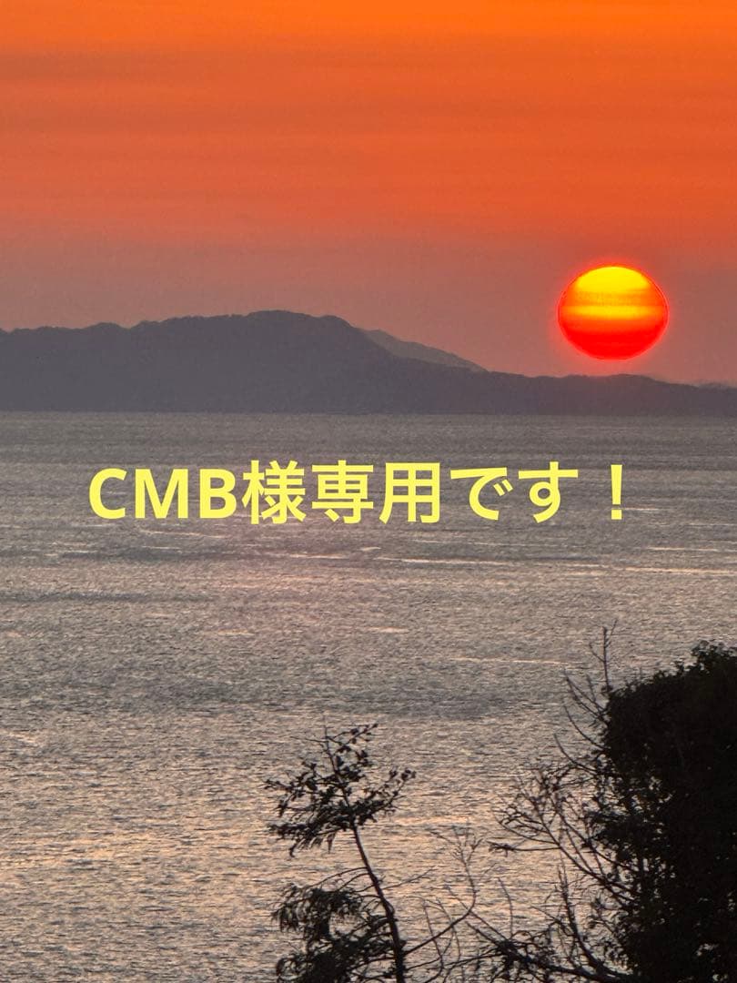 広島県産レモン10キロ箱込（農薬・化学肥料不使用）