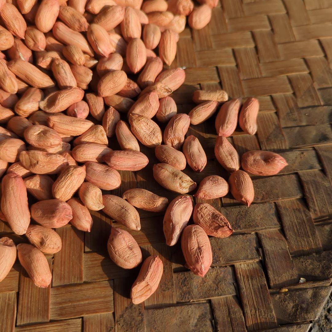 KAZU　おまとめ　千葉県産 おおまさり 手むき 乾燥生落花生