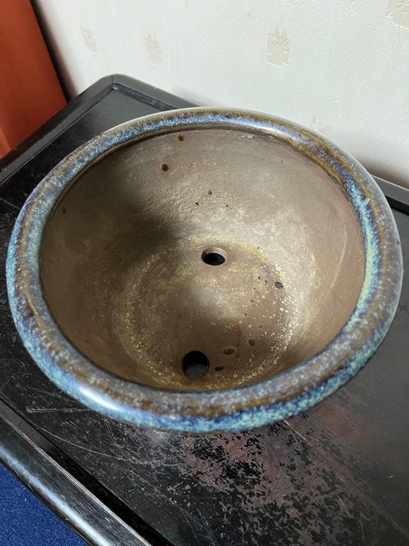 183 盆栽　盆栽鉢　植木鉢　中国鉢　海鼠　ナマコ