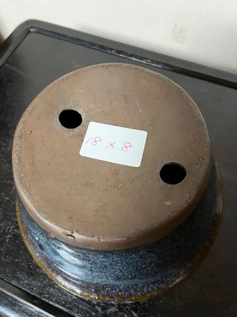 183 盆栽　盆栽鉢　植木鉢　中国鉢　海鼠　ナマコ