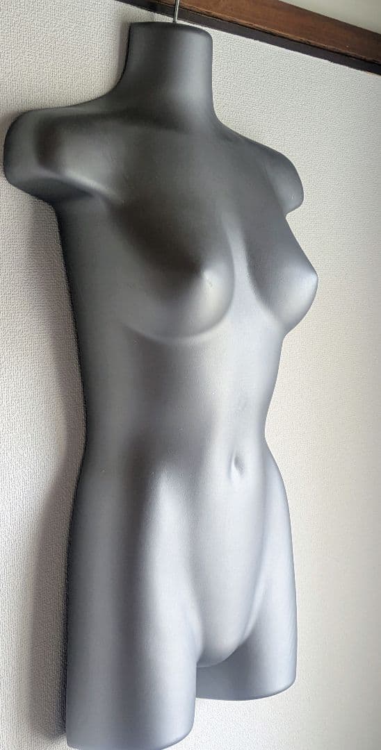 2体!/ハンガートルソー/レディース ハーフボディ/ディスプレイ 展示用品 天吊