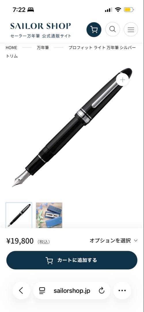 SAILOR 万年筆 プロフィット ライト 万年筆 シルバートリム　14k