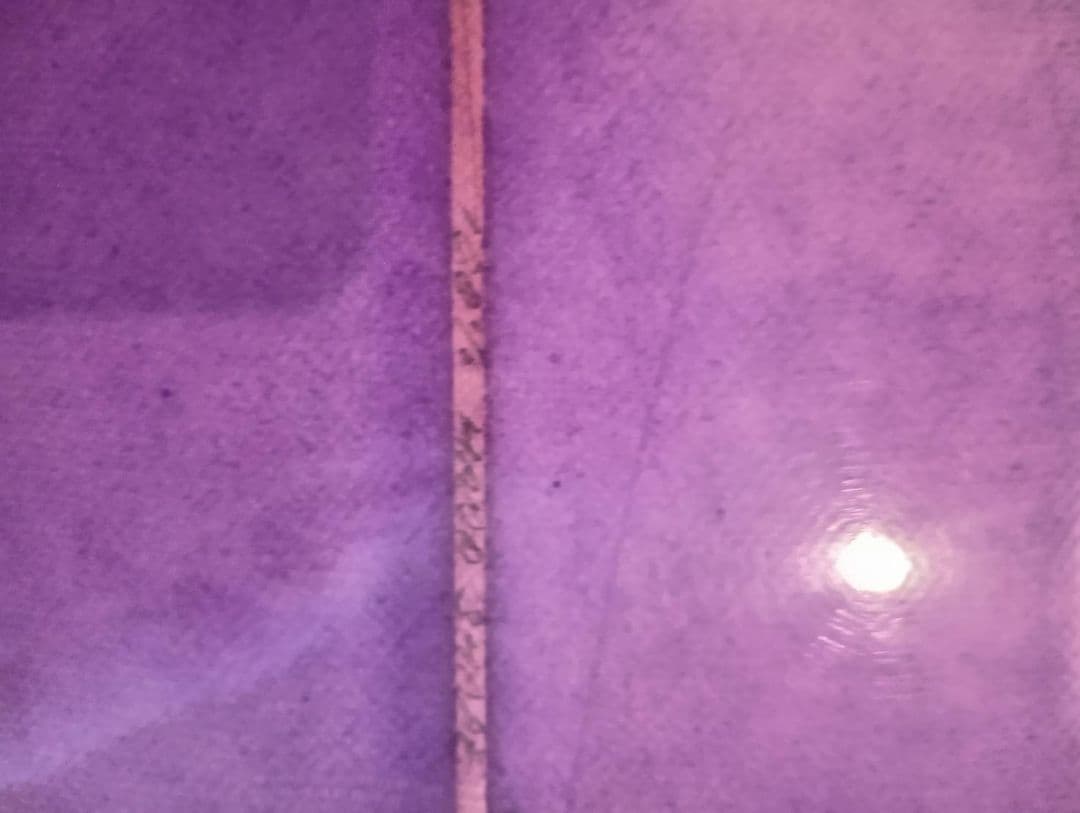 ティミーパターソンのシングルフィン