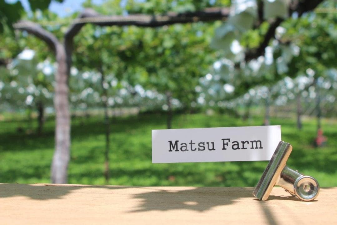 チヨン様向け商品　　　　　　　　クール便送料込み　21,000円