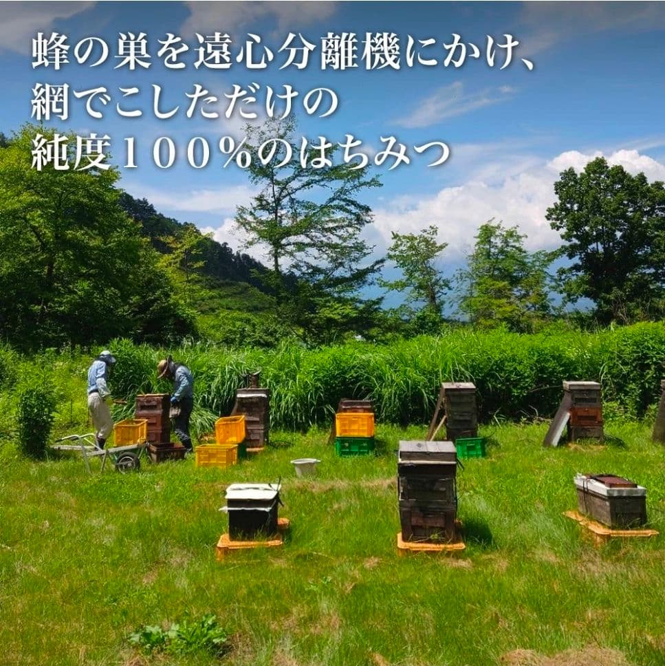 a150n 【八ヶ岳高原はちみつ 】アカシア 国産天然蜂蜜 1kg 新津養蜂園