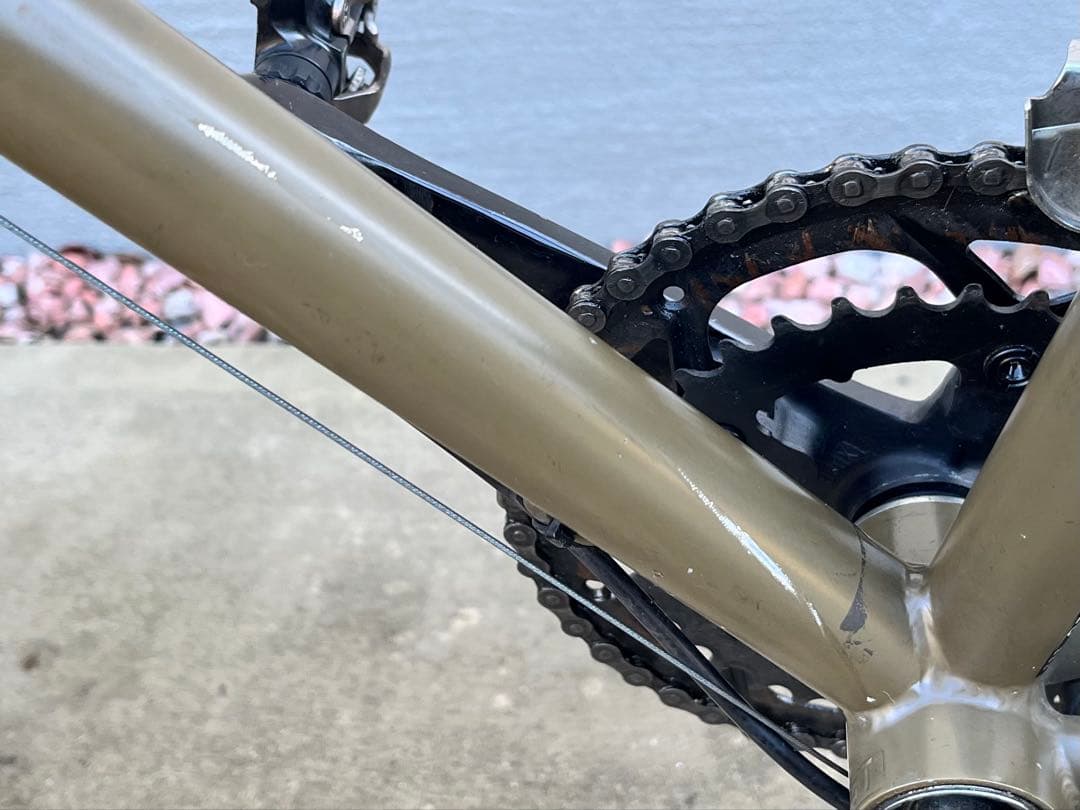 フジ フェザー CX＋/ Fuji Feather cx+ 54 2022