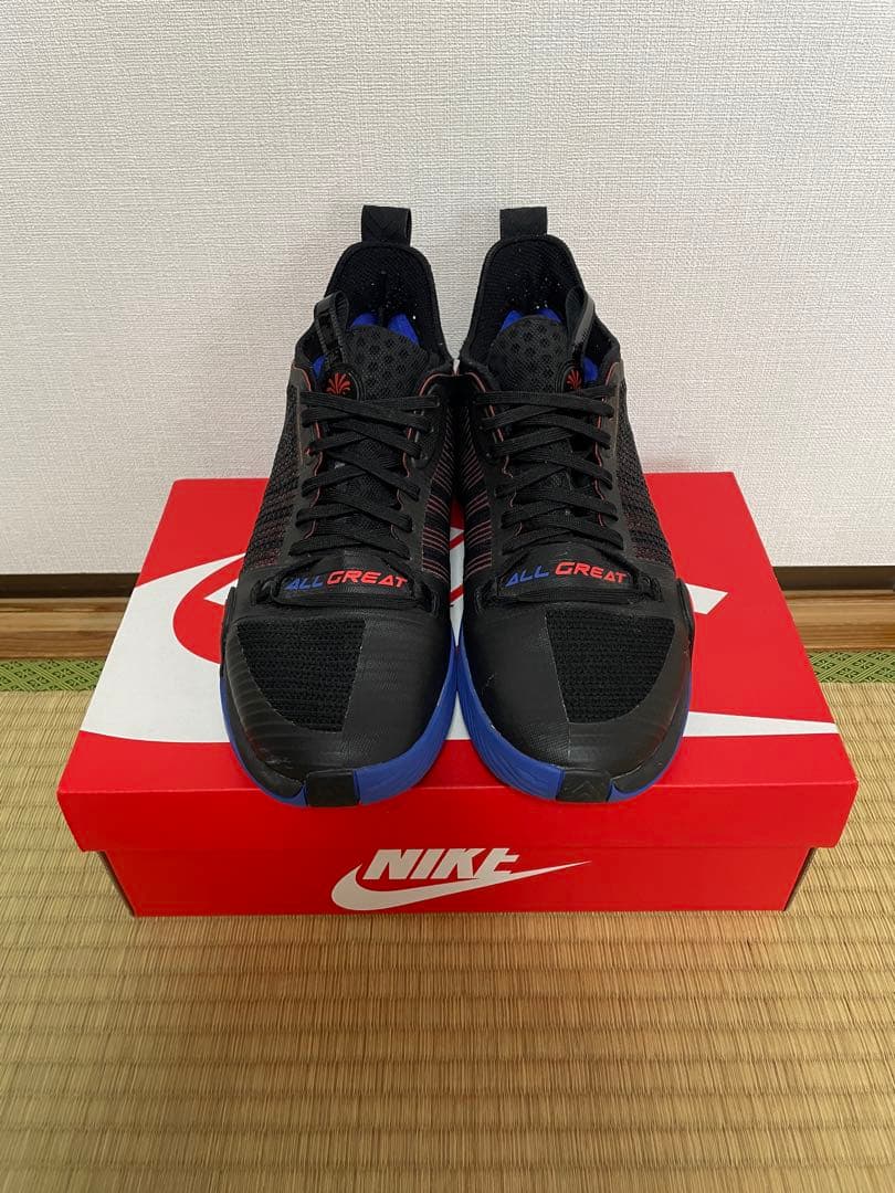 アーロン ゴードン zen3 バスケットボールシューズ