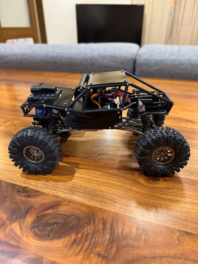 Traxxas TRX4M INJORA ロックタランチュラ　トラクサス1/18