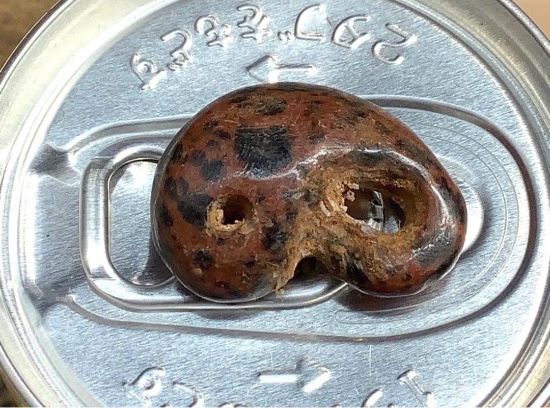 ✳時代鑑定済み鉄鏃と一緒に発掘　✳古墳期超希少【さる玉】黒曜石勾玉‼️出土古墳期