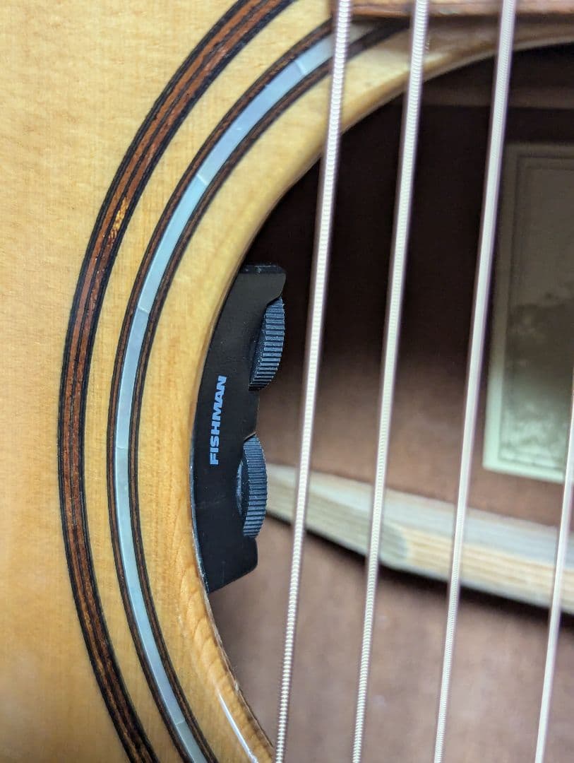 James J-800A オール単板 上位モデル エレアコ ケース付き