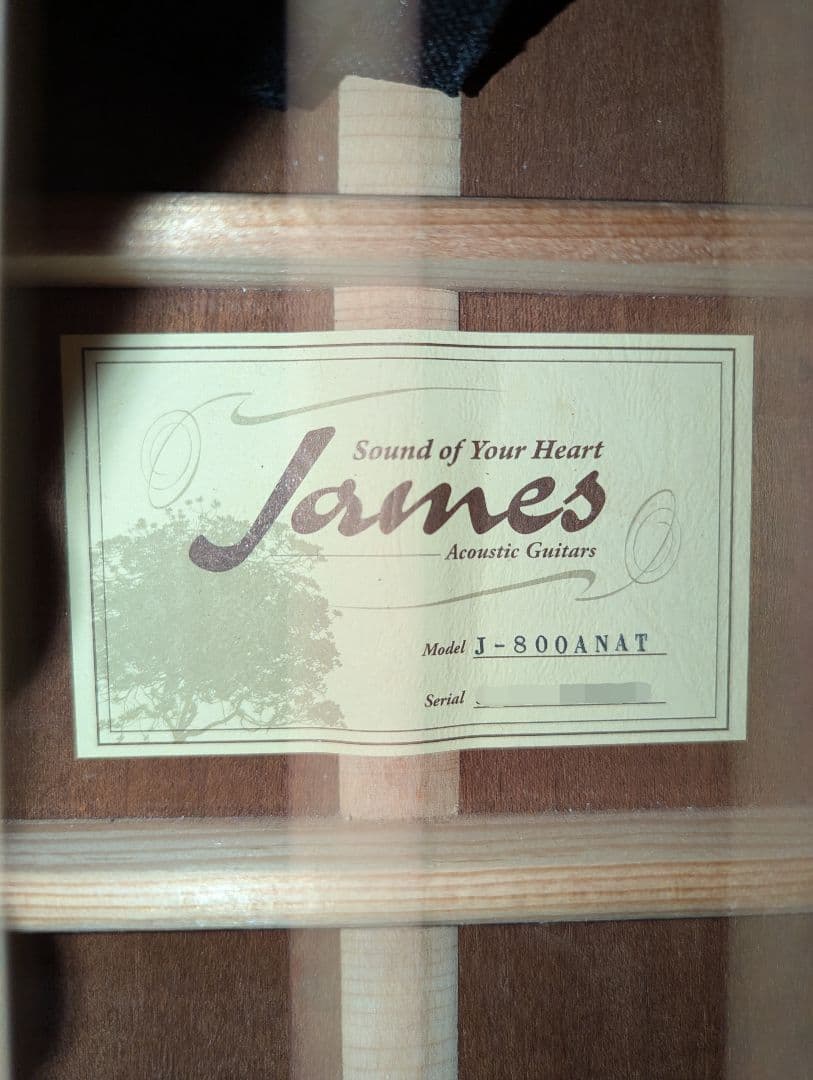 James J-800A オール単板 上位モデル エレアコ ケース付き