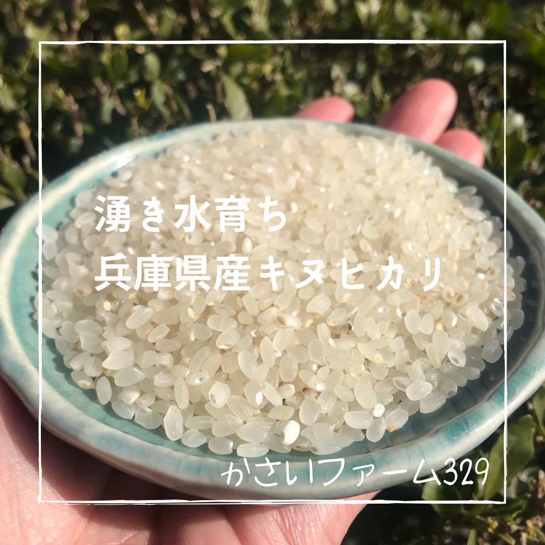 新米★山の湧き水で育てた農家のお米兵庫県産キヌヒカリ 30kg