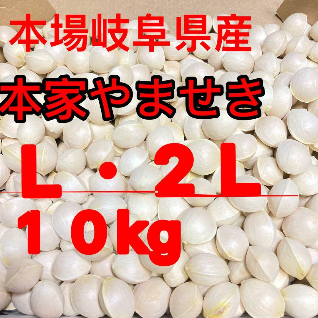 本場岐阜県産！本家やませき、藤九郎，銀杏、特売、 １０kg