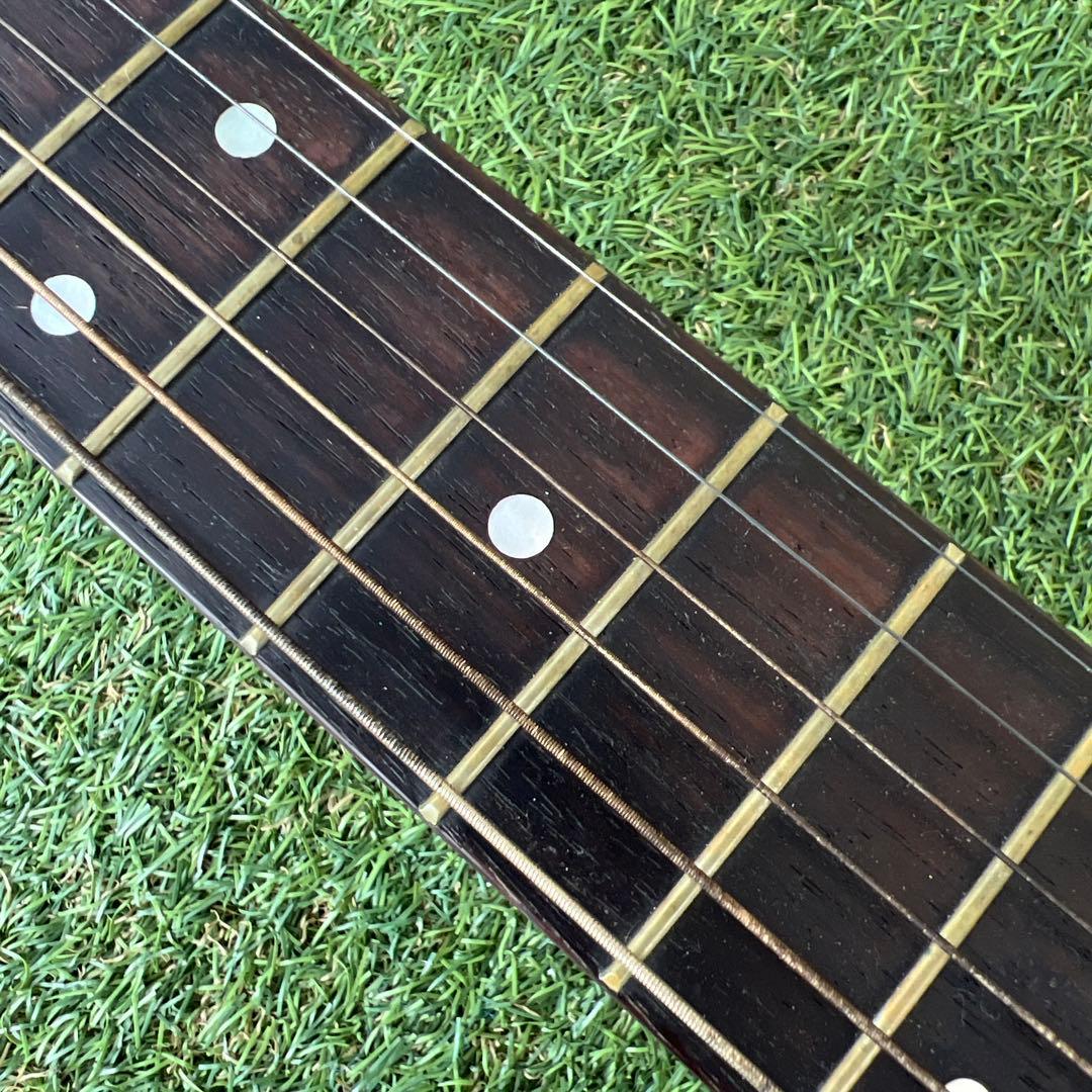 希少TOKAI GAKKI CatsEyes CE-800T 1212680