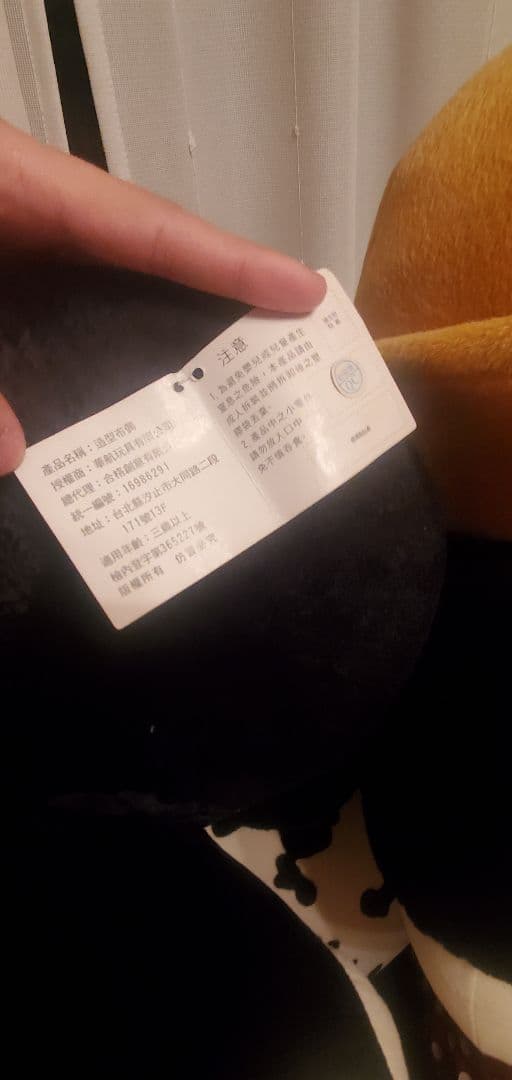 香港ディズニー　巨大ぬいぐるみ　ミッキーミニー