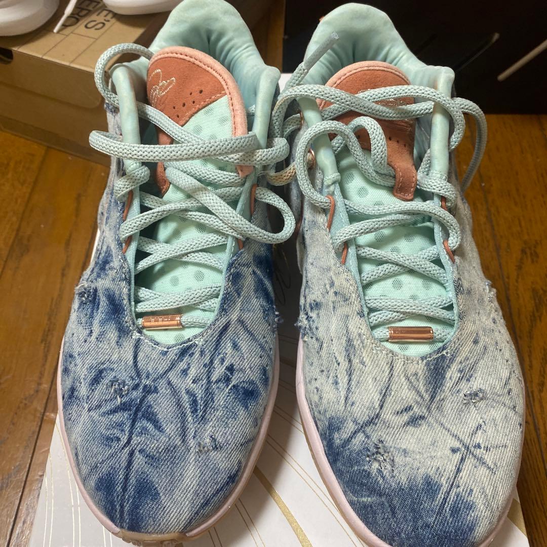 LEBRON XXI 9.5 ジョーダン　コービー　カイリー　海外限定カラー