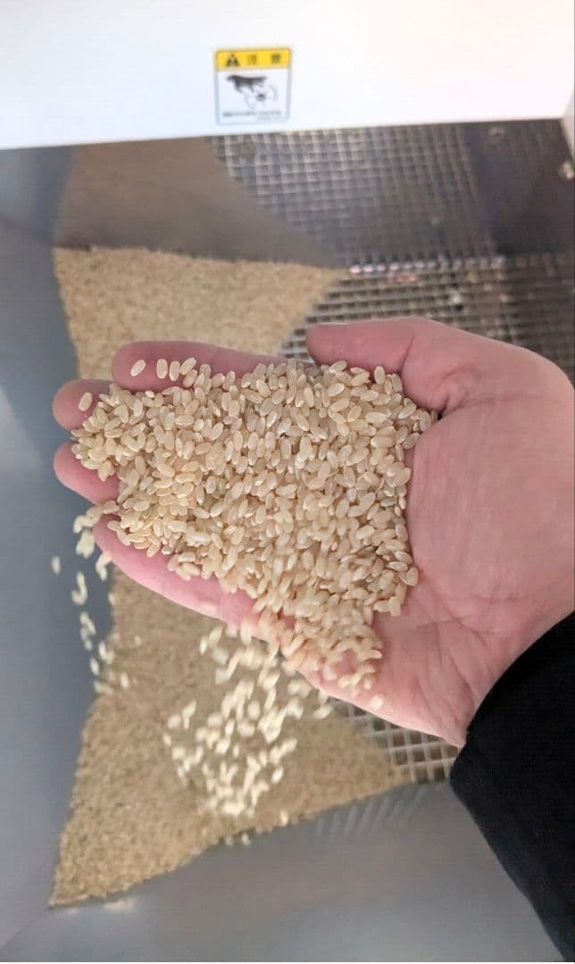 令和7年　ひとめぼれ宮城県産　30kg