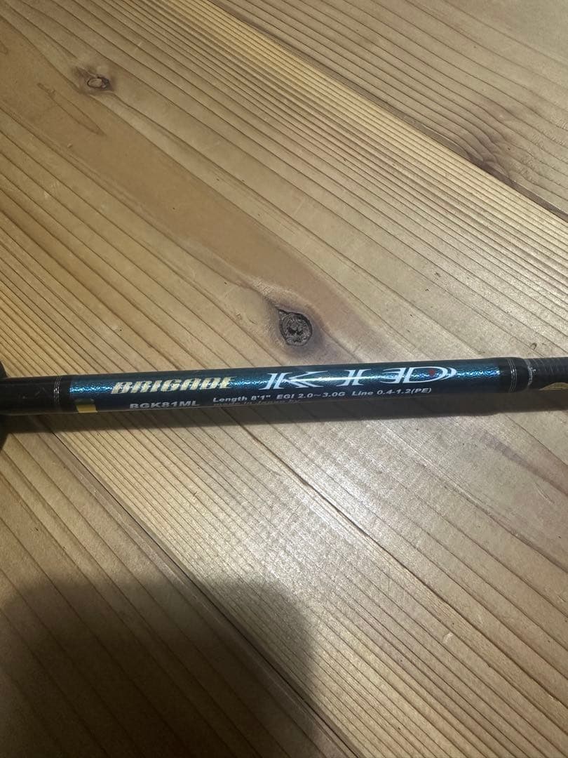 TENRYUBGK81ML エギングロッド 8フィート 2ピース