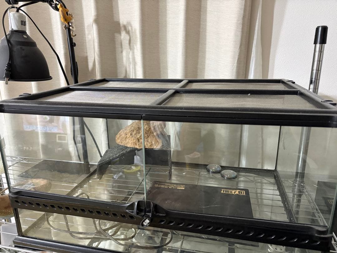 爬虫類飼育フルセットまとめ売り【引き取り限定神戸市灘区】