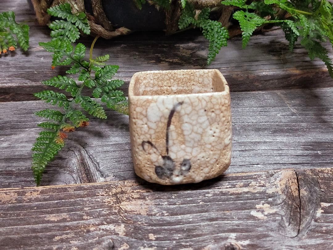 ♥絵志野　ぐい呑み　桐箱付き　⑯　志野　ぐい飲み　骨董品