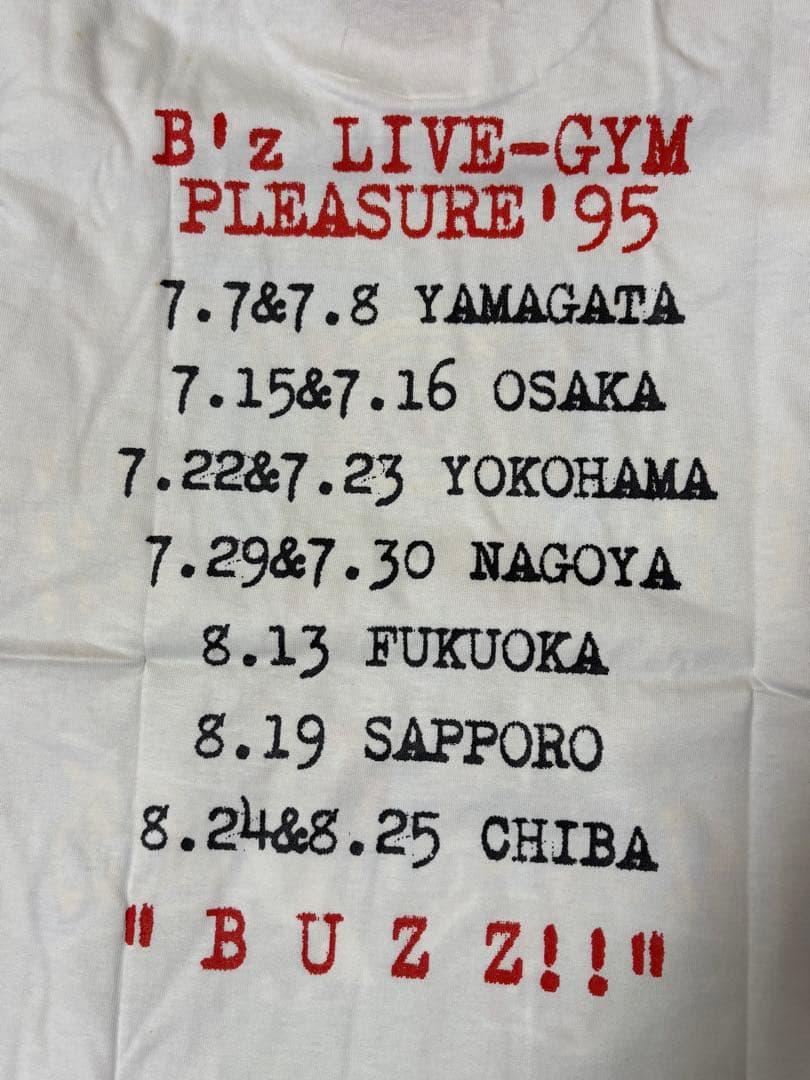 【希少】B'z TシャツLIVE-GYM pleasure95 稲葉浩志