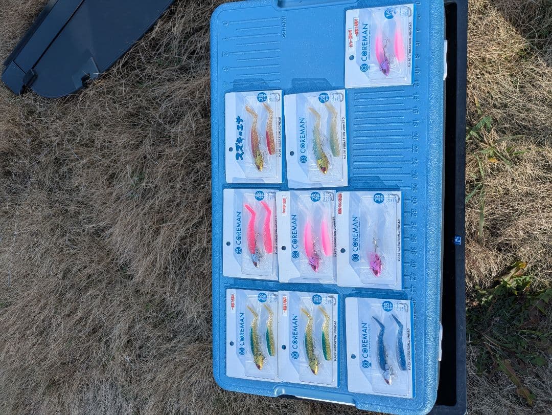 ルアー・フライ COREMAN vj28 vj16