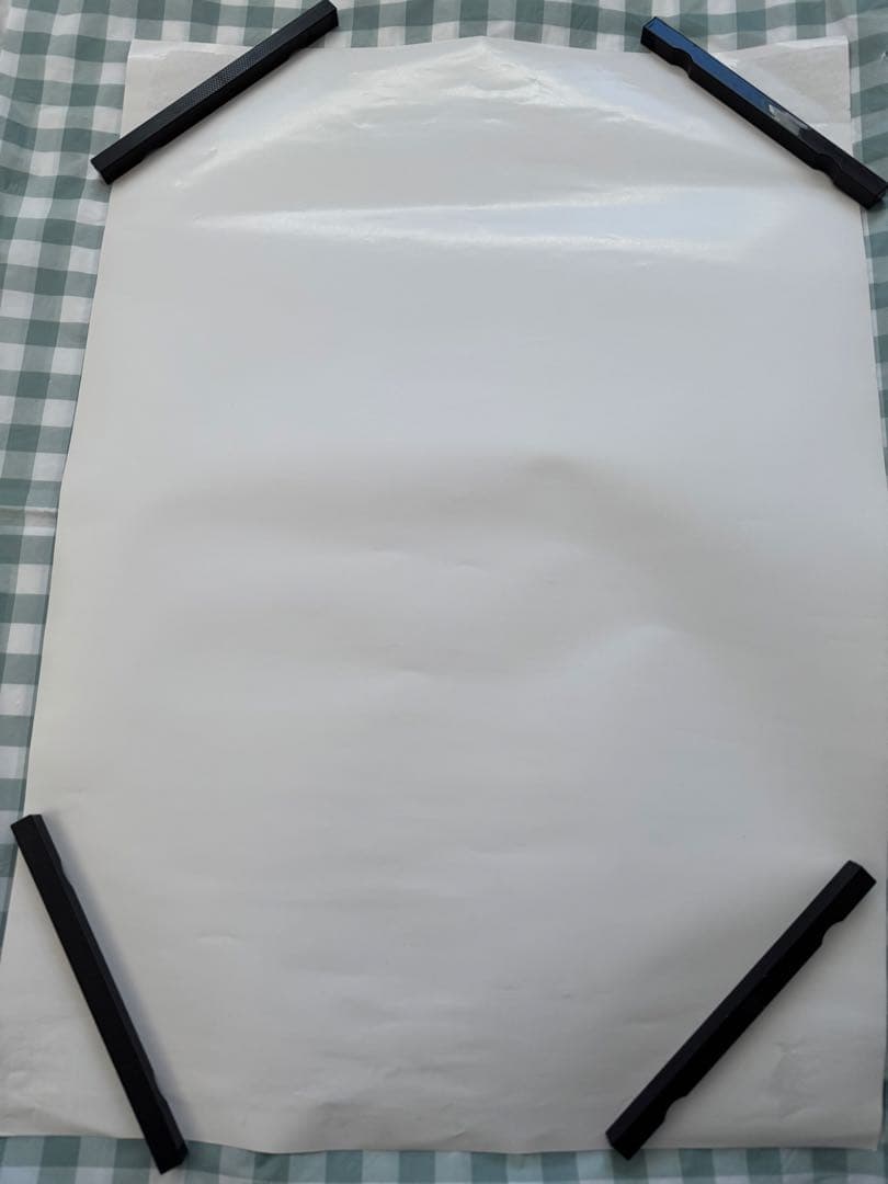 The Biscats 2023年ツアー　非売品 B2 ポスター