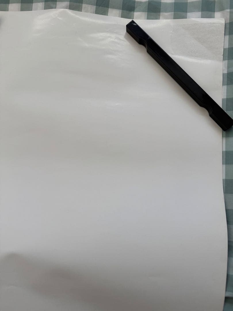 The Biscats 2023年ツアー　非売品 B2 ポスター