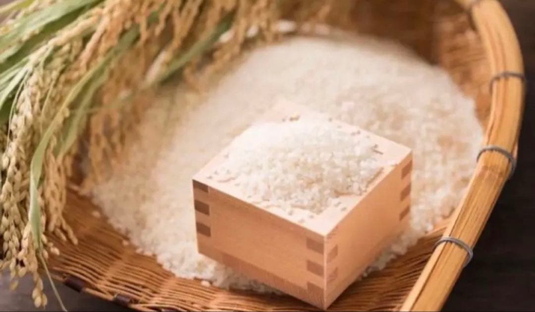 ♡はえぬき♡山形県天童産♡玄米10kg