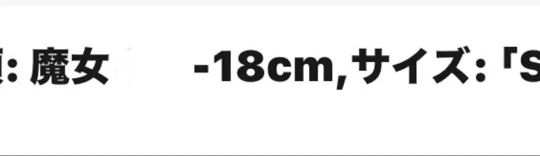 魔女と猫箒飛ぶフィギュア箱付き未使用未開封